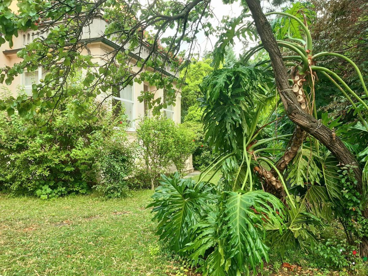 Pension Villa Inge Baden Exteriör bild